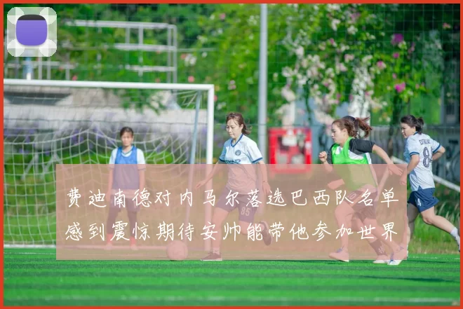 费迪南德对内马尔落选巴西队名单感到震惊期待安帅能带他参加世界杯