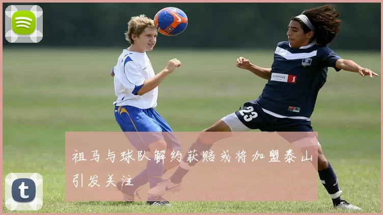 祖马与球队解约获赔或将加盟泰山引发关注