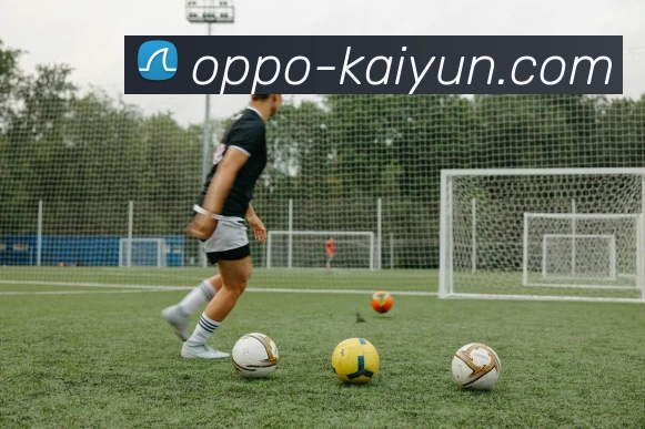 开云体育平台生态图